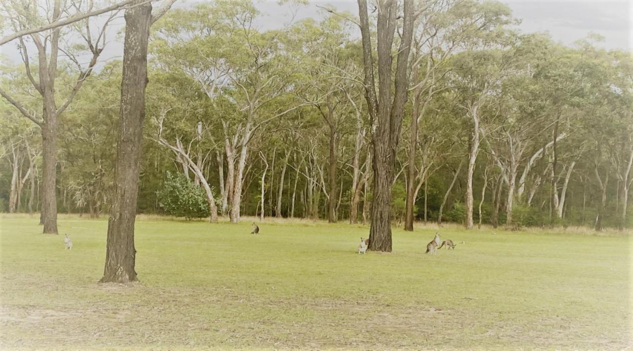 פוקולבין Unlax @ Hunter Valley מראה חיצוני תמונה